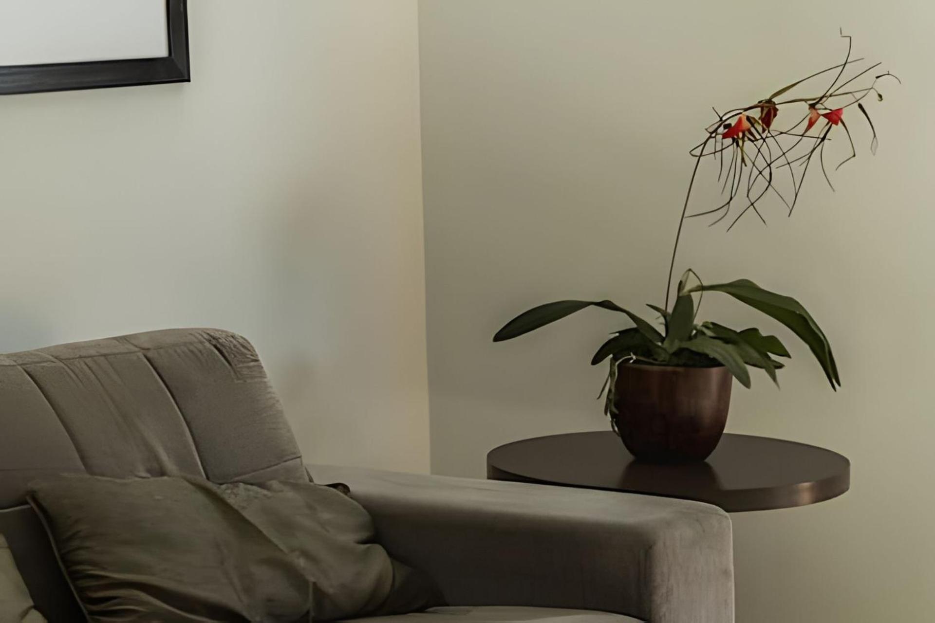 Bonaparte - Excelente #503 Apartamento
