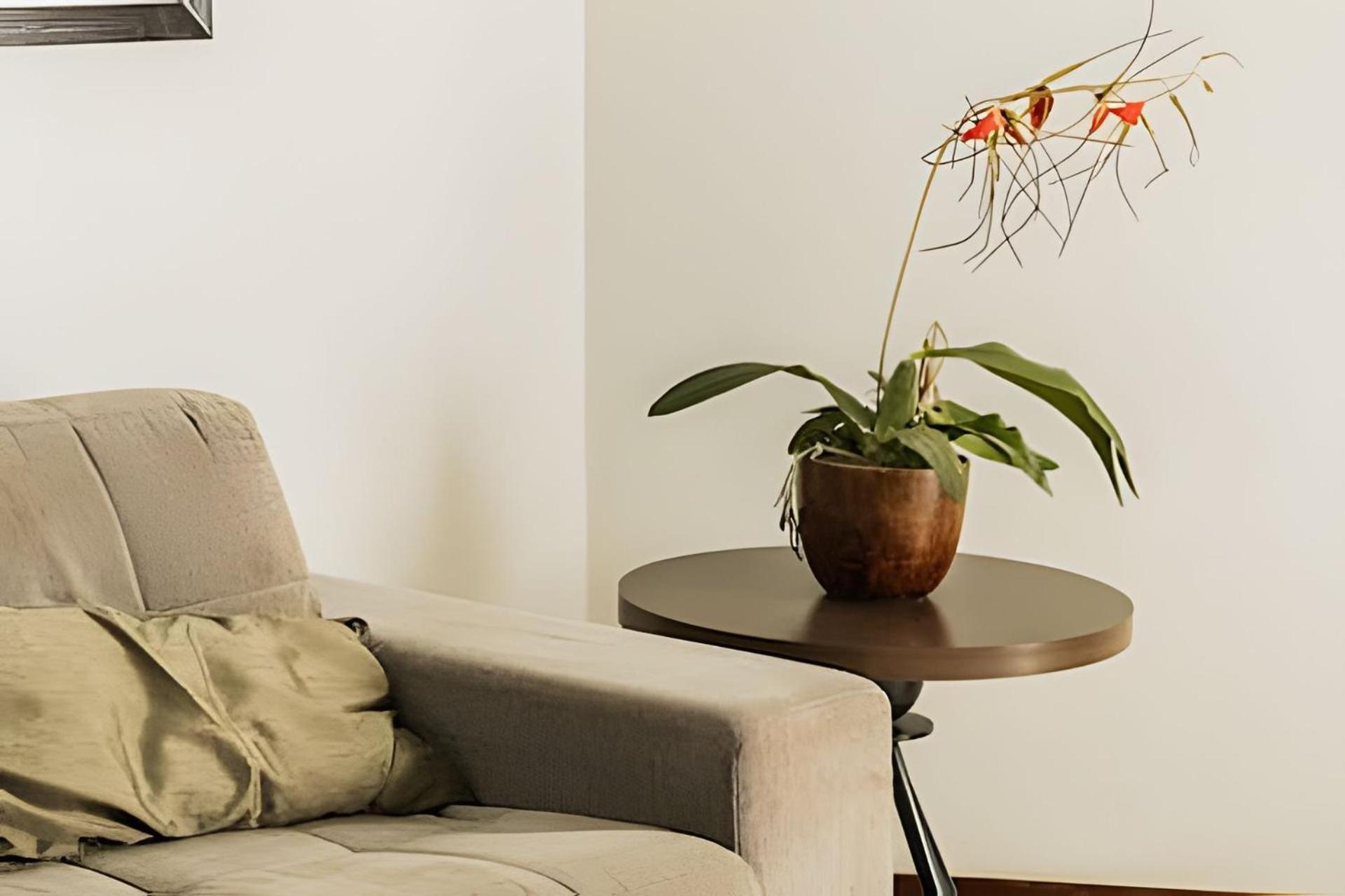 Apartment Bonaparte - Excelente #503